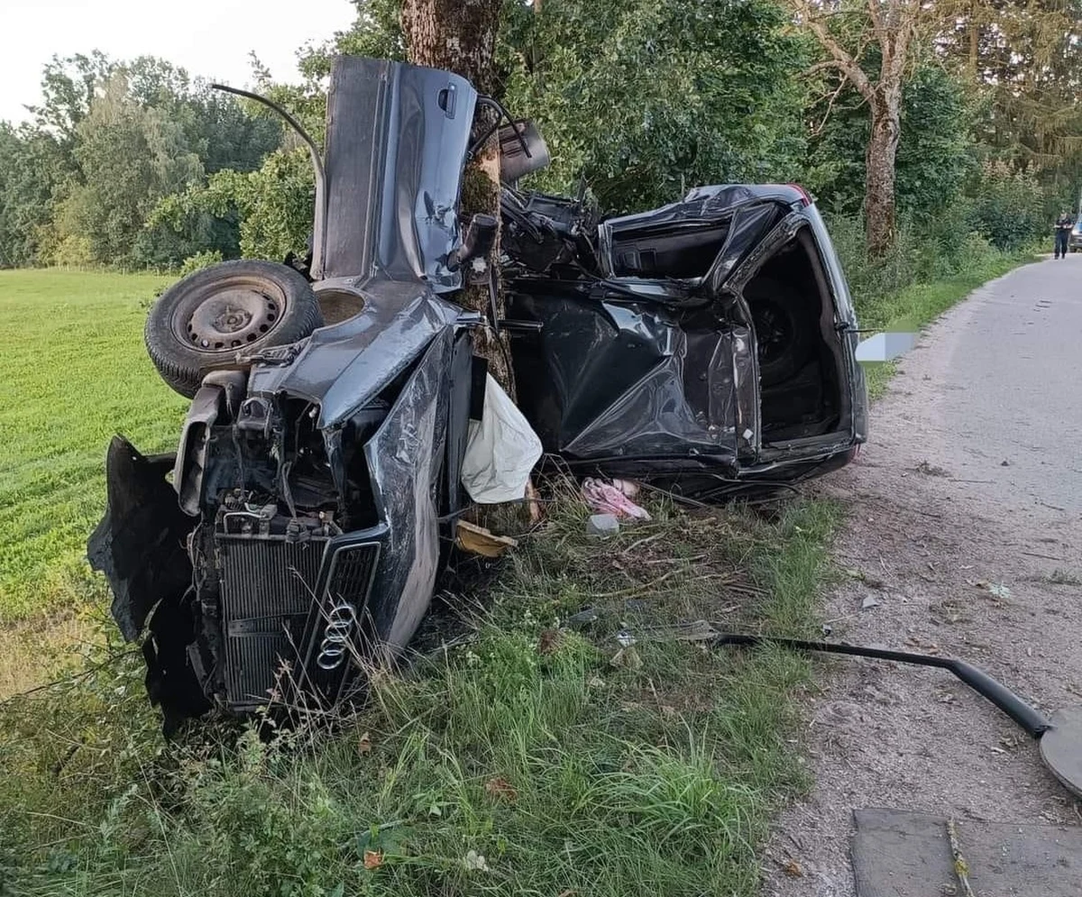 Do tragicznego wypadku doszło w poniedziałek rano w okolicach Wyszemborka (woj. warmińsko-mazurskie). Młody mężczyzna kierujący osobowym audi z impetem uderzył w przydrożne drzewo. 21-latek zginął na miejscu. 