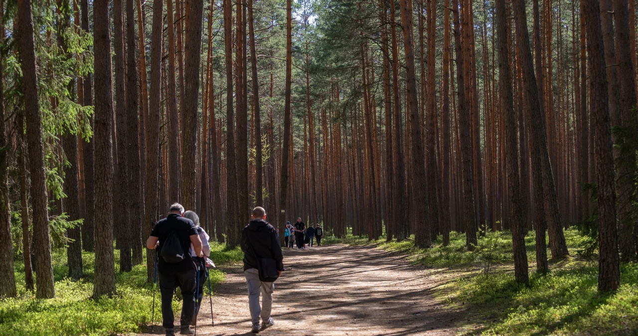  Kameralne uzdrowisko na Kujawach. Uważane za najpiękniejsze w regionie