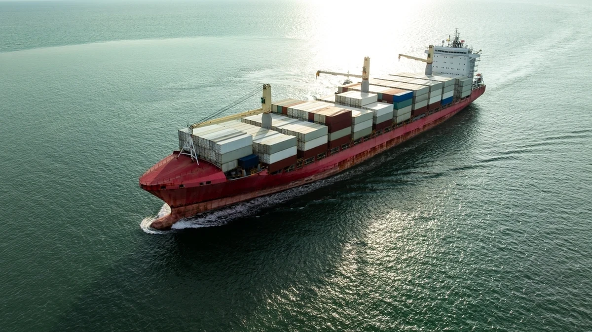 Chiński dziennik "South China Morning Post" podał dziś, że do uszkodzenia gazociągu Balticonnector jesienią 2023 roku przez kontenerowiec Newnew Polar Bear doszło "przez przypadek". Fińska policja nie potwierdza tych informacji, a śledztwo wciąż trwa.