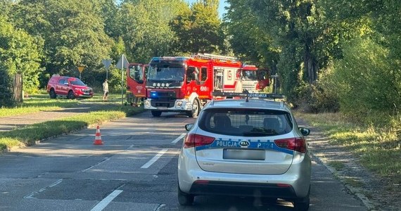 W Gliwicach doszło do potrącenia rowerzystki. Kobieta z podejrzeniem złamania biodra została przetransportowana do szpitala w Katowicach. Zgłoszenie o wypadku otrzymaliśmy na Gorącą Linię RMF FM.