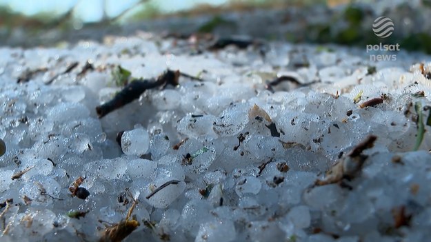 Tegoroczne żniwa będą gorsze niż zeszłego lata - szacuje GUS. Winna jest przede wszystkim nieprzewidywalna pogoda, która rujnuje uprawy. Zbiorów jest mniej i w efekcie wszyscy płacimy więcej za żywność. Czy są sposoby by zatrzymać tę spiralę - sprawdzała Adrianna Borowicz.