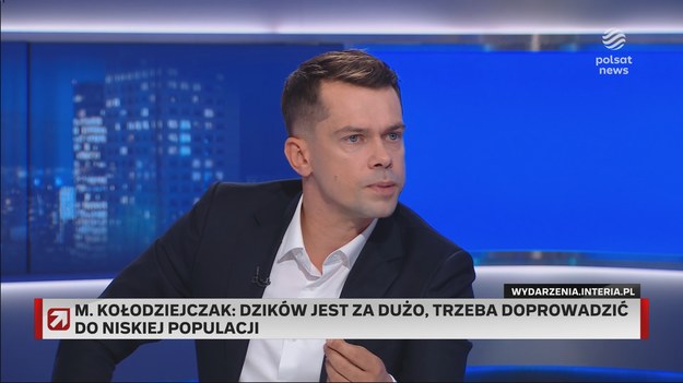 Prowadzenie "wysoko nieodpowiedzialnej polityki" zarzucił Michał Kołodziejczak, wiceminister rolnictwa z KO, koleżance z rządu: Paulinie Hennig-Klosce, minister klimatu i środowiska (Polska 2050). Zarzewiem sporu jest kwestia odstrzału dzików chorujących na ASF. - Jesteśmy gospodarzami w naszym kraju. Nie chcemy, żeby Unia nami rządziła, a chcemy, żeby rządził nami dzik i dziki ptak - uznał.