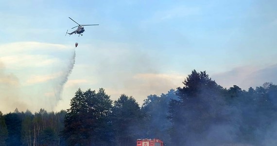 Ogień w lesie w rejonie podkarpackiego Niska pojawił się w czwartek około godz. 14:40. W akcji brał udział m.in. samolot gaśniczy Dromader oraz śmigłowiec wyposażony w Bambi Bucket.