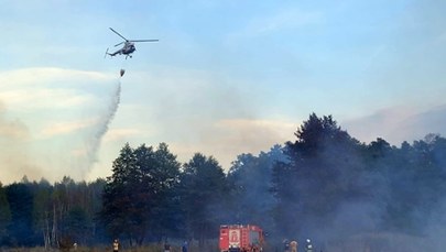 Duży pożar lasu w rejonie Niska. Samolot gaśniczy i śmigłowiec w akcji