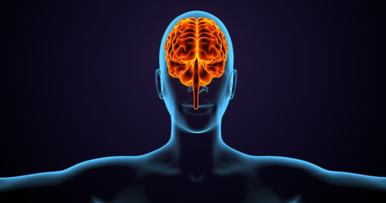 Nowe odkrycie. Lek na padaczkę pomaga wyciszyć objawy autyzmu u myszy