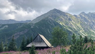 Prawie 3 mln turystów do końca lipca. Tatry biją rekord popularności