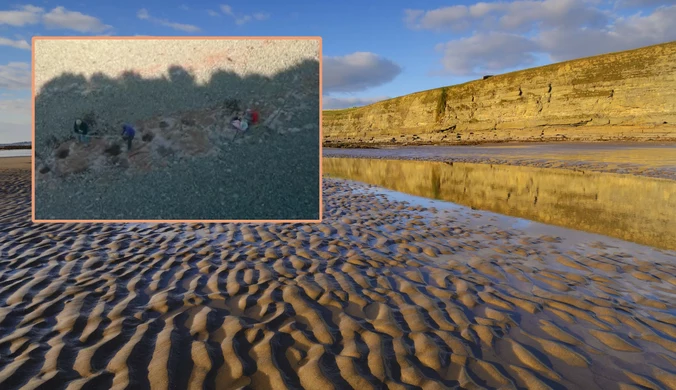 10-latka poszła na plażę. Odkryła ślady dinozaura