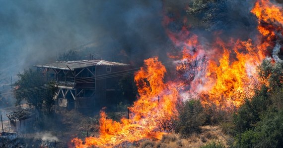 Turcja walczy z groźnymi pożarami. Trudna sytuacja jest szczególnie w okolicach Izmiru, na zachodzie kraju. Do walki z żywiołem zaangażowano tam blisko 3 tysiące osób. Z miasta ewakuowano 900 osób, a także schroniska dla zwierząt.