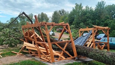 Drzewo przewróciło się na kobietę. Burzowo na Warmii i Mazurach 