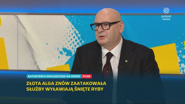 - Czy zgodzi się pan z tezą, że "wraz ze śniętymi rybami w Odrze na wierzch wypłynął całkowity rozkład naszego państwa w segmencie rządowym"? - zapytał w rozmowie z Piotrem Zgorzelskim Marcin Fijołek.

Wicemarszałek Sejmu nie miał wątpliwości, że to "PiS-owska narracja, zwiastująca koniec świata". Gdy prowadzący przypomniał mu, że to jego własne słowa z 14 sierpnia 2022 r., gdy z kwestią złotych alg w polskiej rzece zmagał się poprzedni rząd, poseł PSL wskazywał, że sytuacja jest zgoła inna.