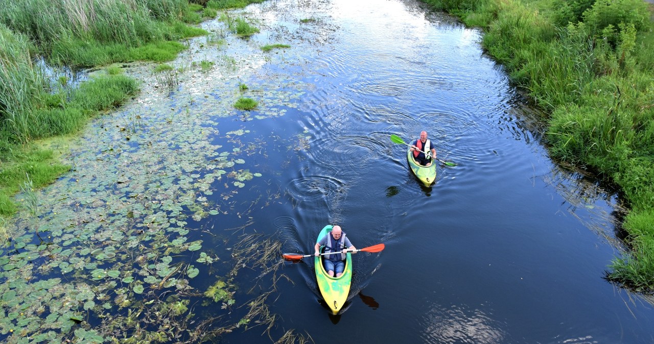 To najlepsza trasa na kajaki dla początkujących. Poradzą sobie choćby dzieci