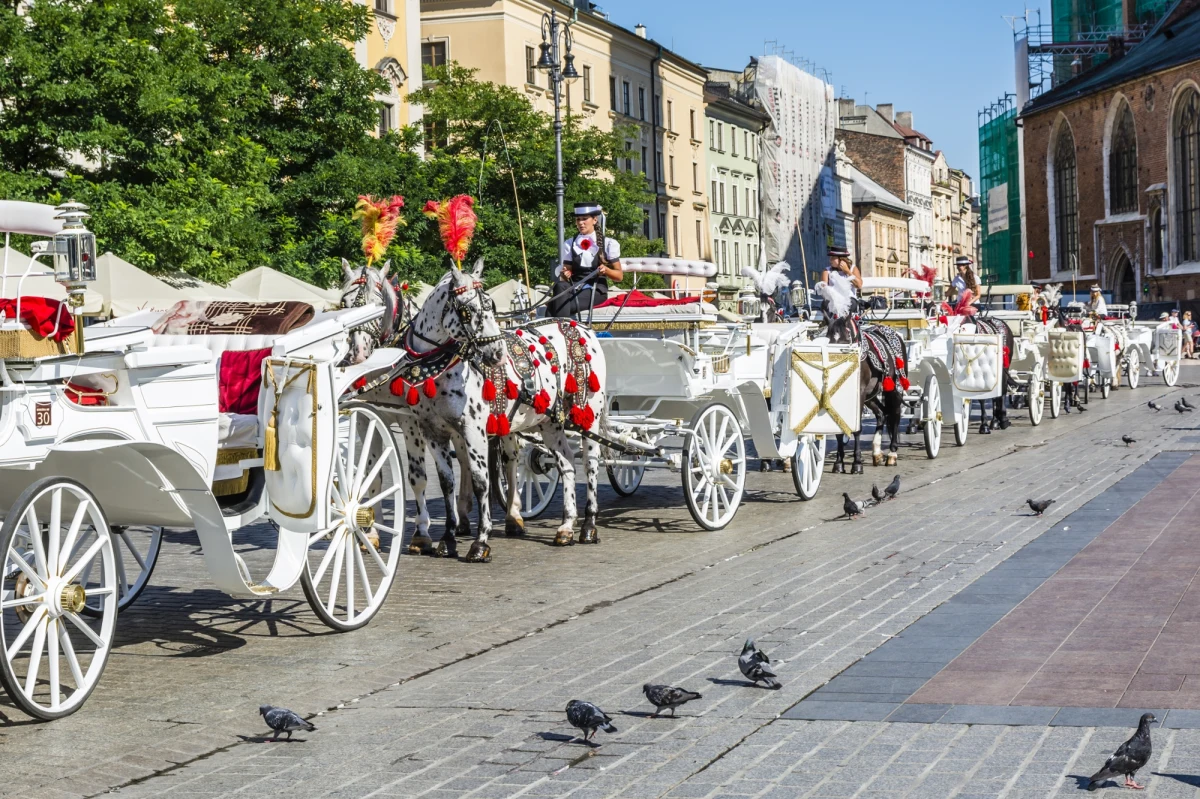 Stowarzyszenie Dorożkarzy Krakowskich skierowało do Ministerstwa Kultury wniosek o wpisanie krakowskich dorożek na Krajową Listę Niematerialnego Dziedzictwa Kulturowego UNESCO. Sprzeciwiają się temu obrońcy zwierząt, którzy napisali w tej sprawie list otwarty do resortu.