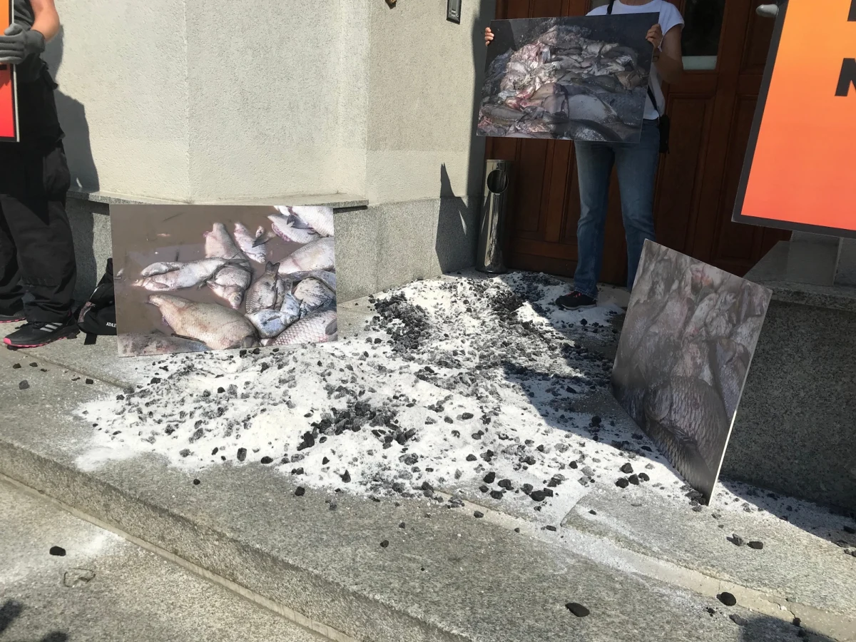 Protest przedstawicieli Greenpeace w Katowicach. Aktywiści pojawili się tam przed siedzibą Ministerstwa Przemysłu. Akcja ma związek ze śnięciem ryb w okolicach Dzierżna.