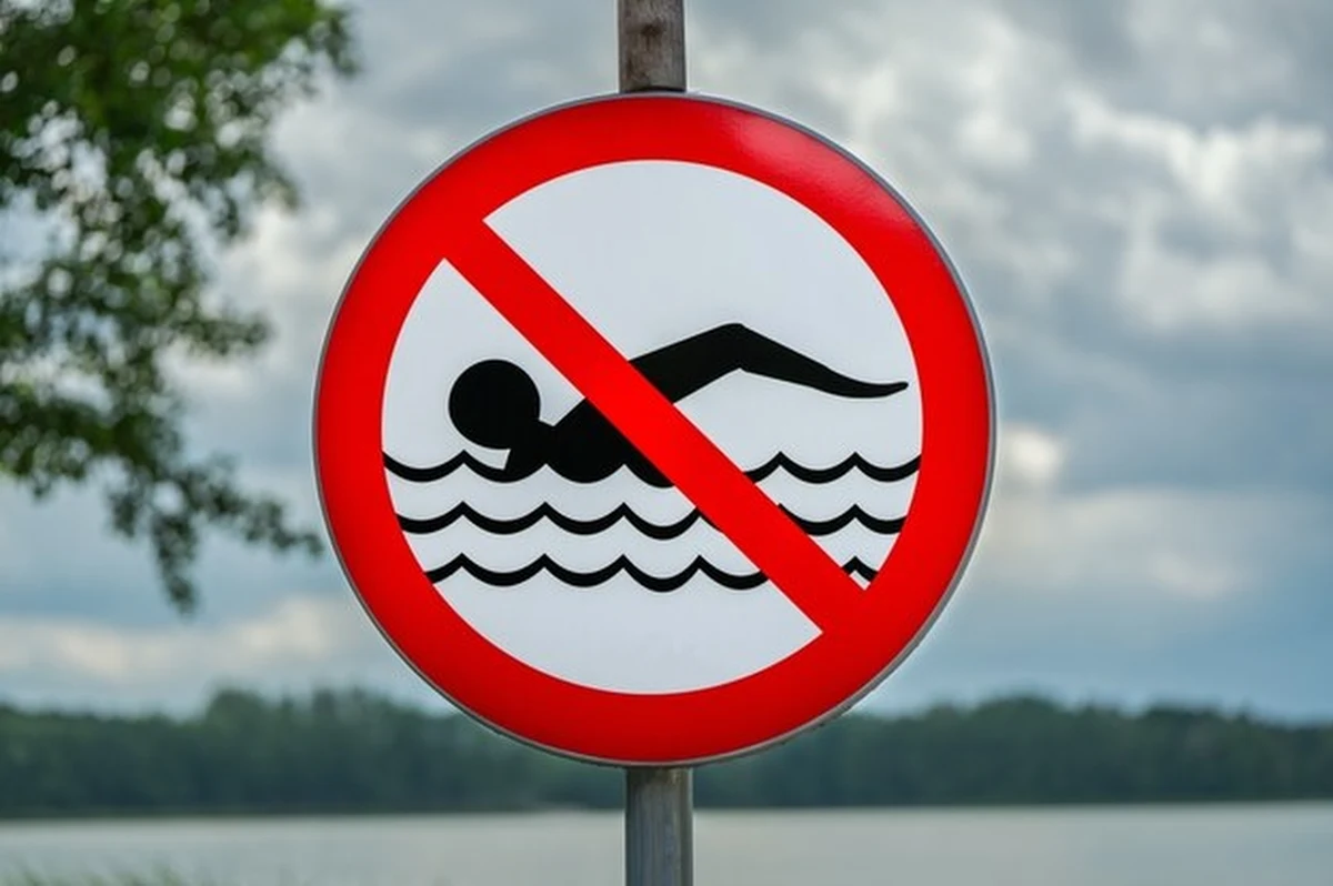 Dwa kąpieliska nad jeziorem Trzesiecko w Szczecinku zostały zamknięte. Powodem jest zakwit sinic - wynika z informacji Głównego Inspektoratu Sanitarnego, zamieszczonej w serwisie kąpieliskowym.