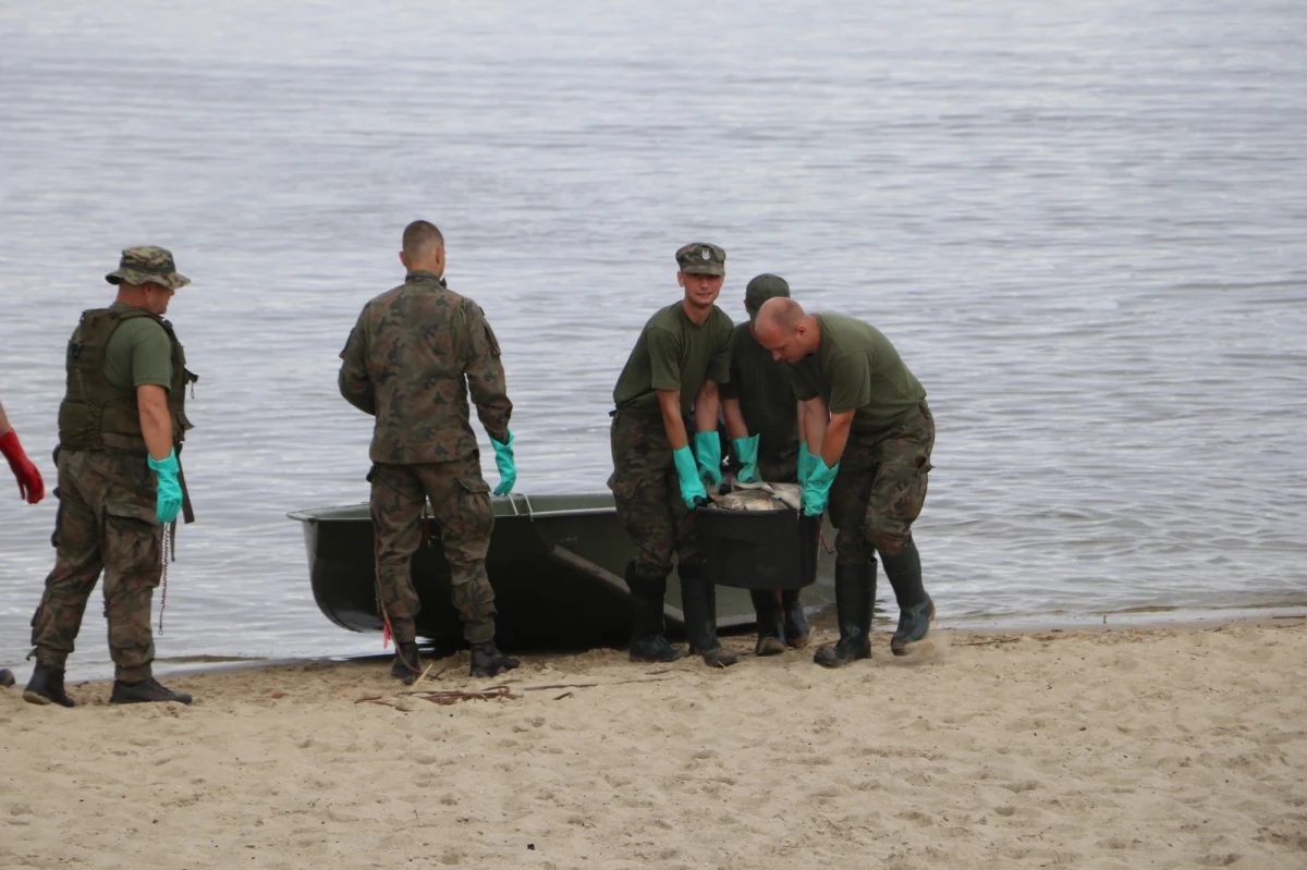 Ponad tonę śniętych ryb wyłowiono ostatniej doby ze zbiornika Dzierżno Duże na Śląsku. Dobra wiadomość jest taka, że od kilku dni liczba wyławianych martwych ryb systematycznie maleje. Wojewoda śląski przedłużył zakaz korzystania z części rzeki Kłodnicy.