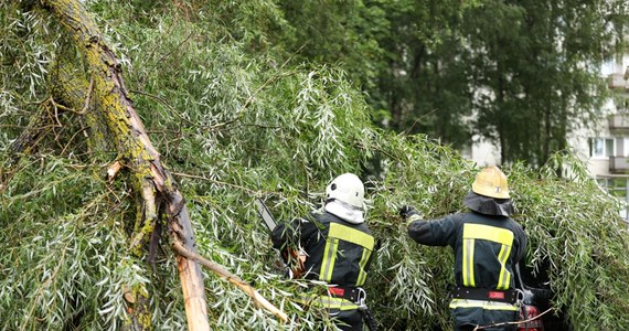 Blisko 120 razy interweniowali podkarpaccy strażacy w związku z intensywnymi burzami, które przeszły nad częścią województwa. Nikt nie został poszkodowany. 