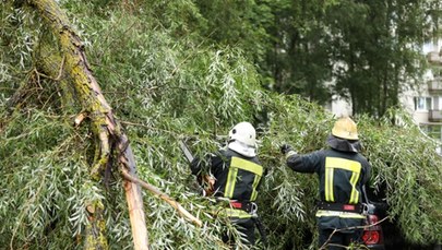 Burze na Podkarpaciu. Połamane drzewa, uszkodzone auta