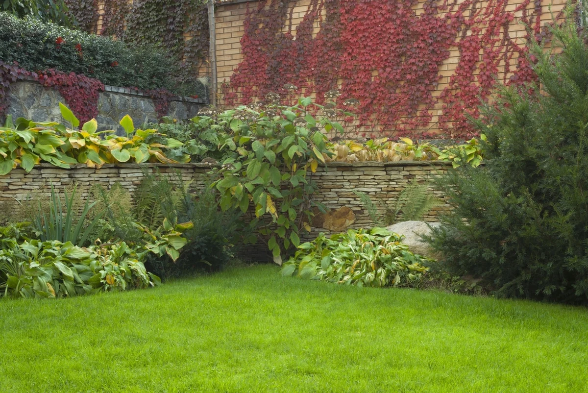 Stolica Podkarpacia ma się zazielenić. W mieście powstaną parki kieszonkowe i ogrody deszczowe. Betonowe podwórka zamienią się w zielone oazy, a asfaltowe boiska w trawiaste. 