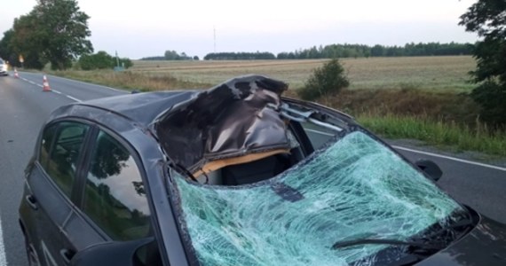 Do niebezpiecznego zdarzenia doszło minionej nocy na drodze krajowej 48 w miejscowości Sierskowola (Lubelskie). Kierujący bmw uderzył w łosia, który wbiegł na jezdnię. W wyniku zderzenia pasażerka pojazdu trafiła do szpitala. Policja apeluje o ostrożność. 