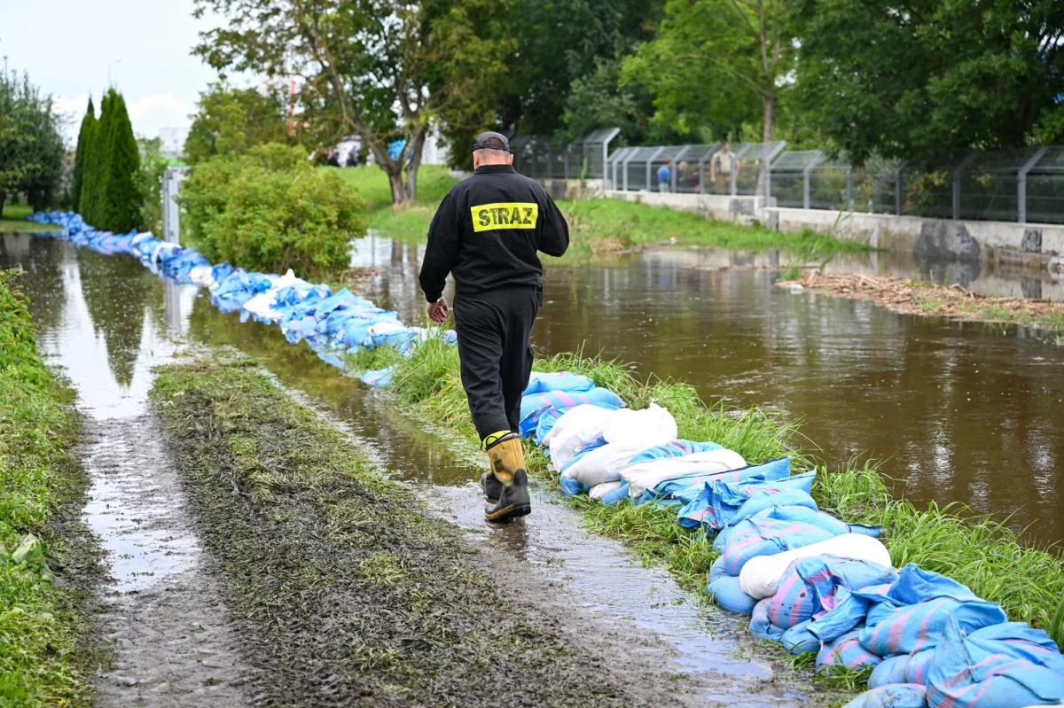 Na ponad milion złotych szacowane są wstępne straty po nawałnicy, która przeszła w środę nad Zamościem (Lubelskie) – poinformowała PAP wiceprezydent tego miasta Marta Pfeifer. Podczas gwałtownych opadów ucierpiały m.in. szkoła, przedszkola i zoo.
