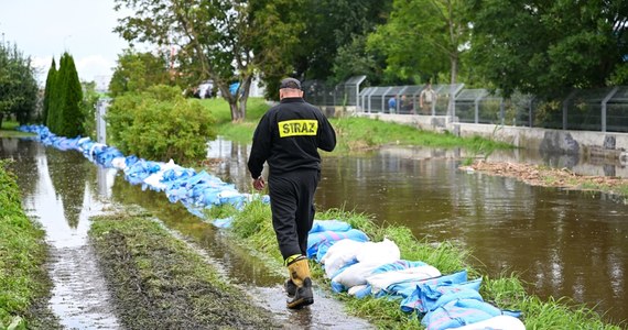 Na ponad milion złotych szacowane są wstępne straty po nawałnicy, która przeszła w środę nad Zamościem (Lubelskie) – poinformowała PAP wiceprezydent tego miasta Marta Pfeifer. Podczas gwałtownych opadów ucierpiały m.in. szkoła, przedszkola i zoo.
