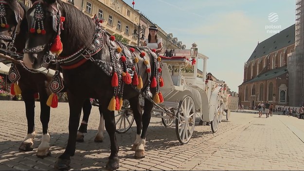 Krakowscy dorożkarze nie chcą podzielić losu tych z Morskiego Oka, i składają wniosek o wpisanie ich na listę niematerialnego dziedzictwa kulturowego UNESCO. Tłumaczą, że dorożka to symbol i nieoderwalna tradycja Krakowa. Obrońcy zwierząt mówią z kolei o perfidnym wykorzystywaniu zwierząt dla pieniędzy. Materiał dla "Wydarzeń" przygotowała Teresa Gut.