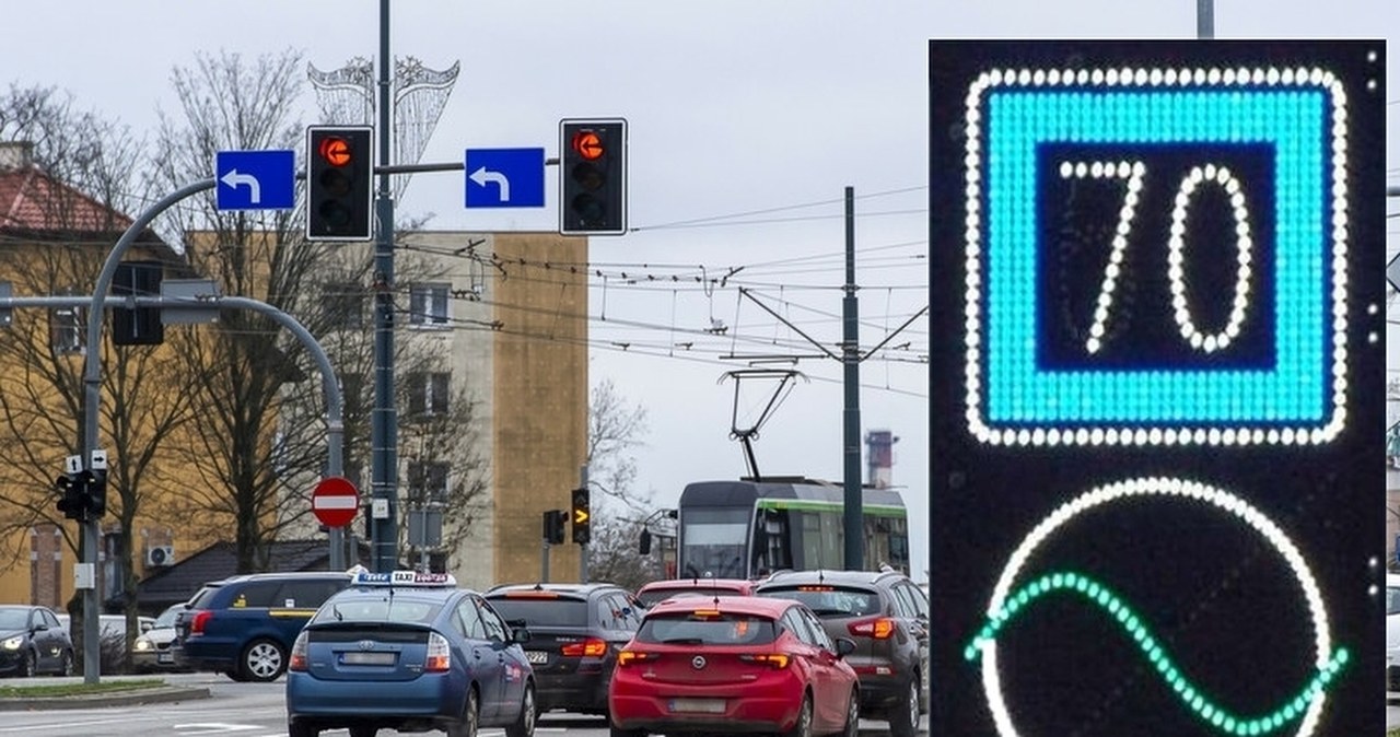 Znak z zieloną falą powinien pojawiać się jak najczęściej. Co oznacza?