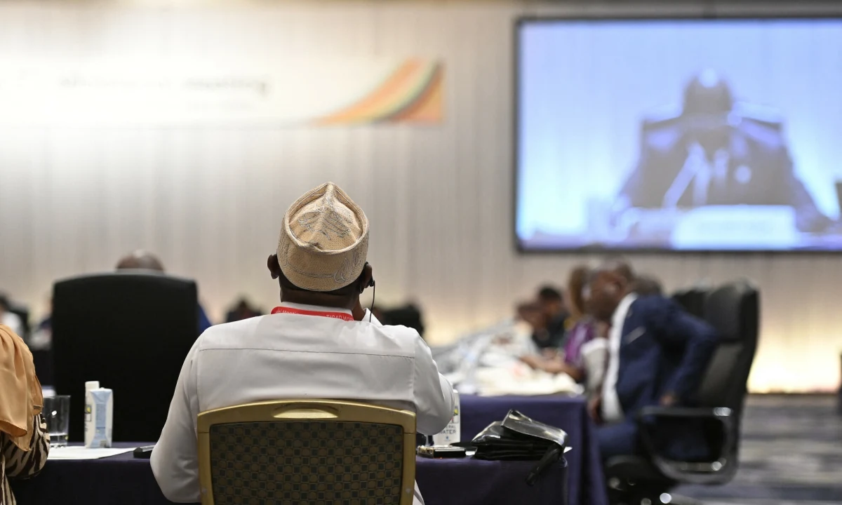 ​Podczas przygotowań do Międzynarodowej Konferencji Rozwoju Afryki w Tokio doszło do bójki afrykańskich dyplomatów z udziałem przedstawicieli Maroka, Algierii i Sahary Zachodniej. Państwowość tej ostatniej, wspieranej przez Algierię, nie jest uznawana przez wiele krajów, w tym Maroko.