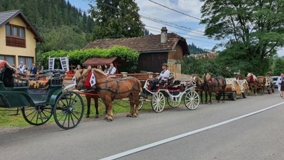 Koń kopnął 14-latka. O krok od tragedii podczas orszaku weselnego