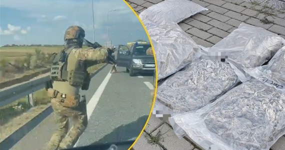 Na 3 miesiące aresztu skazał Sąd Rejonowy w Rzeszowie dwóch mężczyzn podejrzanych o posiadanie dużej ilości środków odurzających. Policjanci - przy wsparciu kontrterrorystów - zatrzymali w Nienadówce w województwie podkarpackim osobowego hyundaia, którym poruszali się 27-latkowie przewożący blisko 10 kilogramów marihuany. 