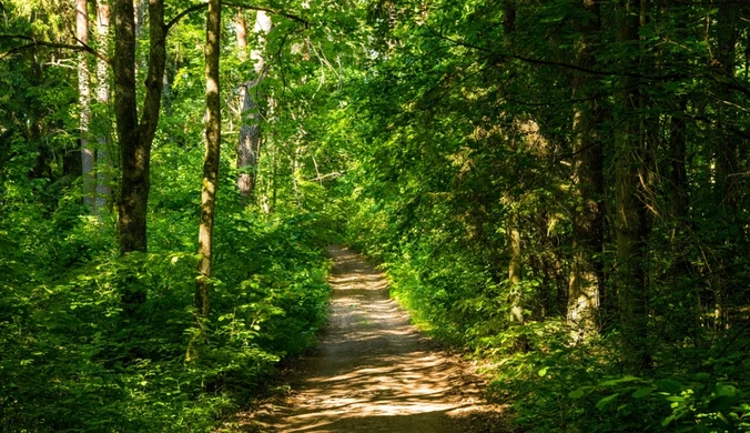 Wielka akcja, mazowieckie służby ostrzegają. "Nie wolno dotykać"