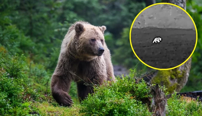 Park narodowy z apelem. Pokazali niezwykłe nagranie