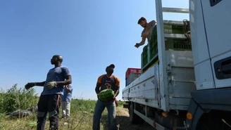 "The Guardian": Migranci zrozpaczeni warunkami we Włoszech. "To piekło"