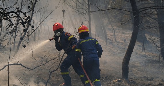 ​44-latka w greckim mieście Tripolis na Peloponezie została skazana na trzy lata pozbawienia wolności za to, że wywoływała pożary, by obserwować strażaków i z nimi flirtować - poinformował w środę portal Greek Reporter.