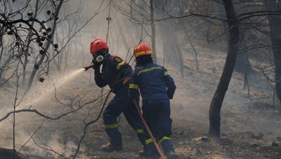 Podpalała, aby flirtować ze strażakami. 44-latka skazana