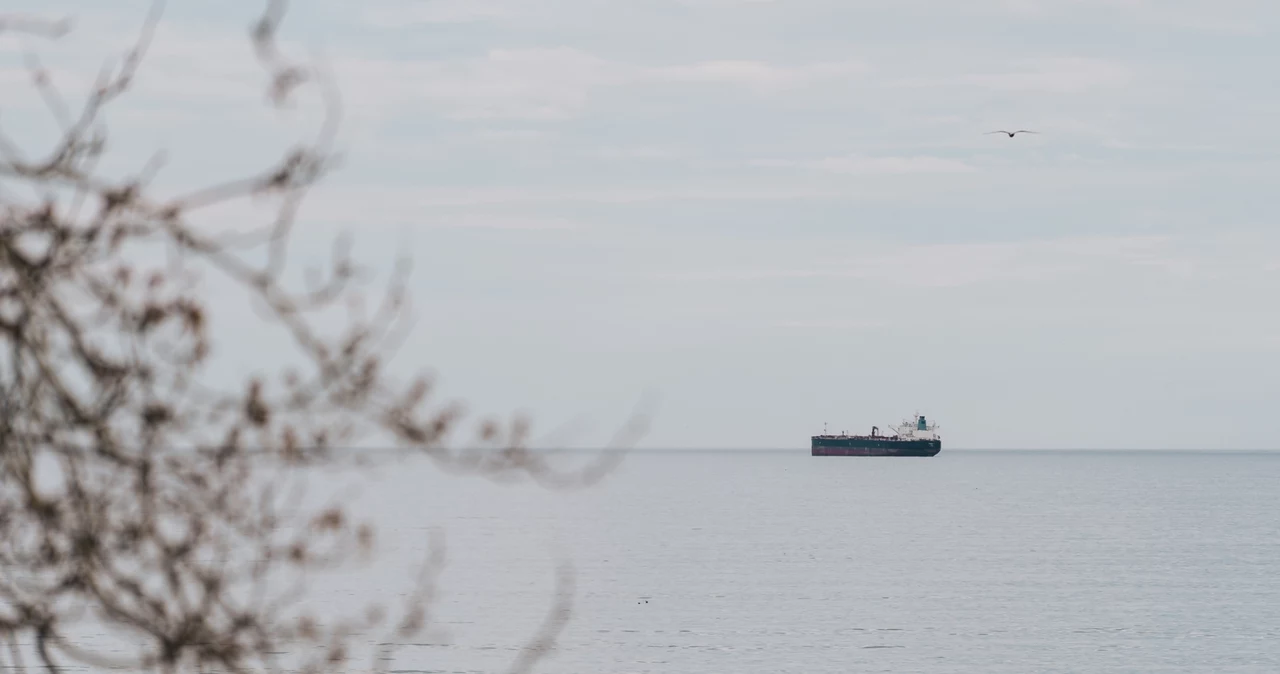 Rosja ukradła ukraińskie zboże. Zmierza do Egiptu na jednym z tankowców