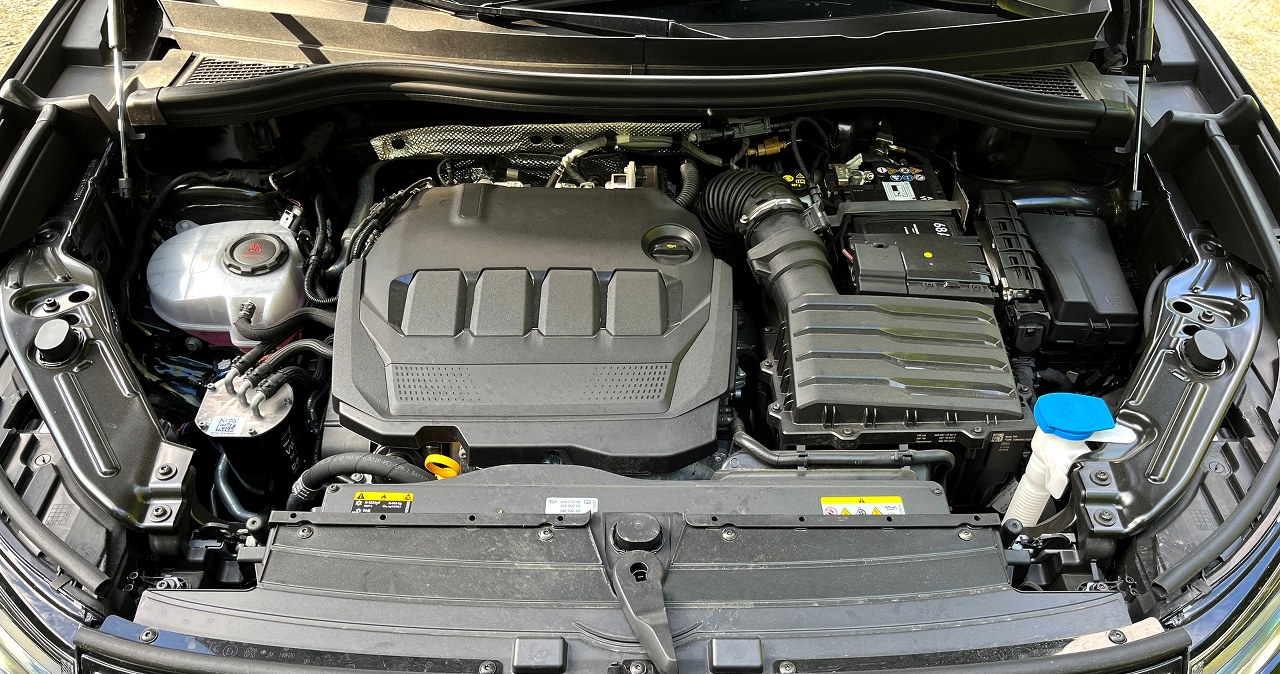 Holendrzy dostaną odszkodowanie od Volkswagena za dieselgate. Co z Polakami?