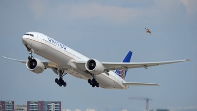 Chwile grozy podczas lotu. Samolot wpadł w turbulencje, są ranni