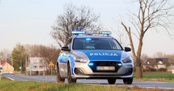 W Płocku policja zatrzymała 69-latka, który postrzelił z wiatrówki kota. Ranne zwierzę zostało uśpione. O incydencie powiadomiła jego właścicielka. Sprawca oświadczył, że strzelał do kota, bo sprawdzał celność wiatrówki. Grozi mu do trzech lat więzienia.