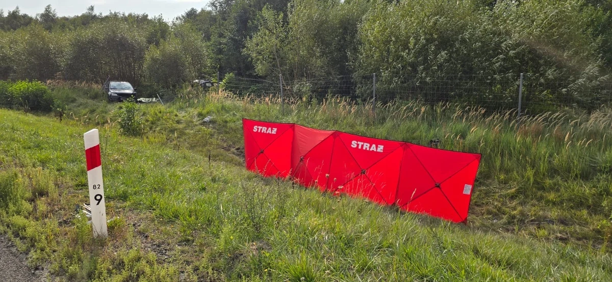 Dwie osoby zginęły w sobotę w wypadku na drodze S8 w woj. dolnośląskim. Dwa auta osobowe zderzyły się na wysokości miejscowości Syców.