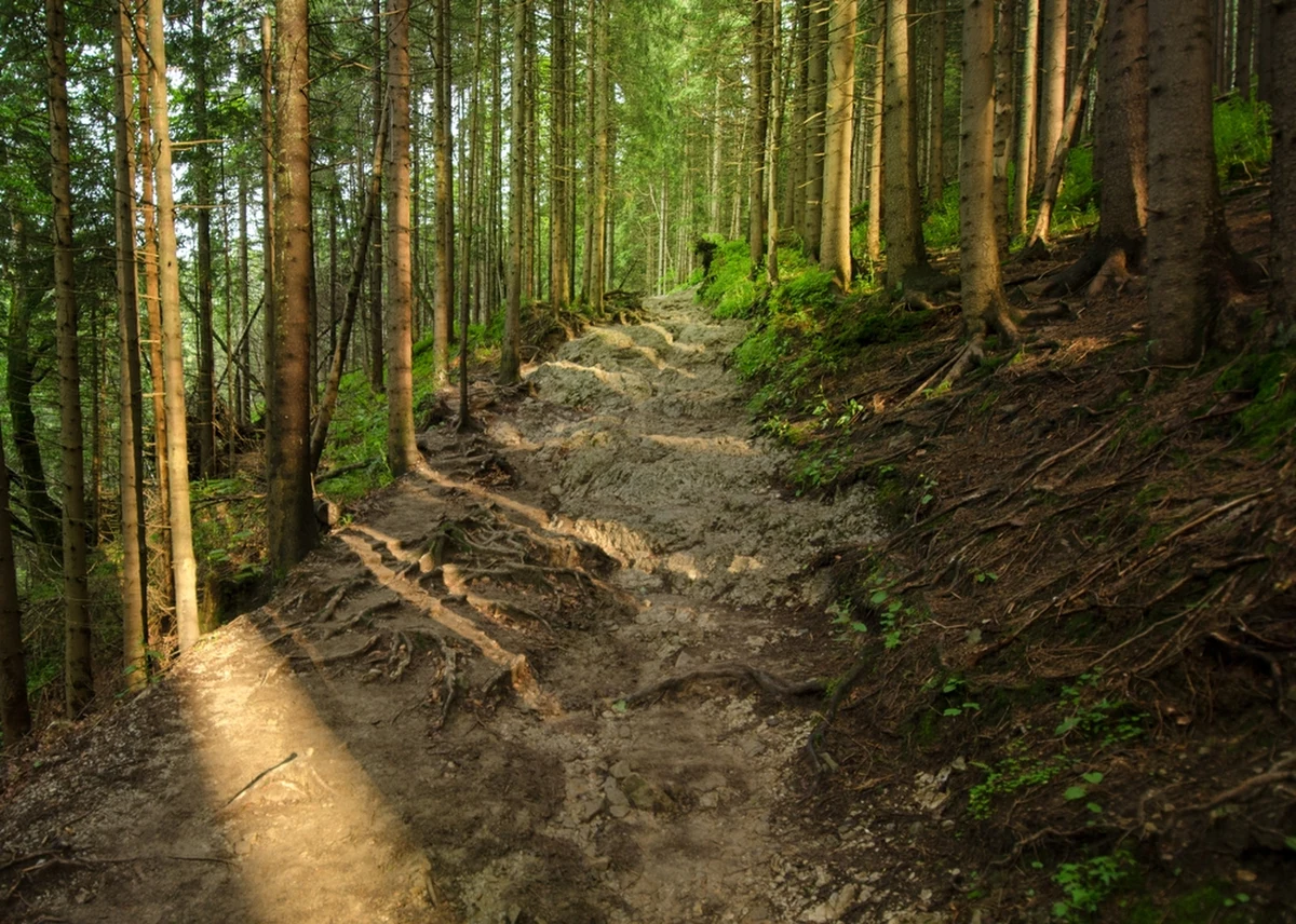 Rozpoczął się remont żółtego szlaku turystycznego do Doliny Białego. Ta przyjemna trasa spacerowa jest popularna szczególnie wśród rodziców z dziećmi. 