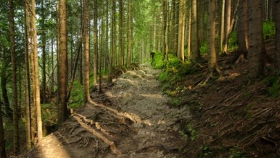 ​Ruszył remont żółtego szlaku do Doliny Białego