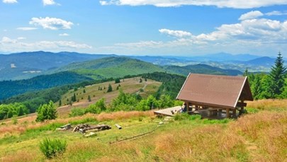 Zielona rewolucja w Małopolsce. Powstaną nowe rezerwaty przyrody 