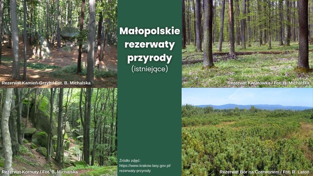 /Biuro Wojewody Małopolskiego /Materiały prasowe