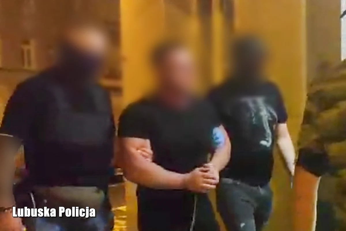 W Świdnicy na Dolnym Śląsku policjanci zatrzymali 45-latka podejrzanego o kierowanie zorganizowaną grupą przestępczą. Mężczyzna ukrywał się od 15 lat, był poszukiwany czteroma listami gończymi. 