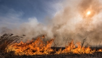 ​84-letni mężczyzna zginął w pożarze traw pod Rzeszowem