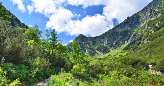 Ekipy remontowe rozpoczęły wymianę mostu na potoku Roztoka w Dolinie Roztoki - poinformował Tatrzański Park Narodowy. Szlak nie jest zamknięty. można korzystać ze starego mostu.  