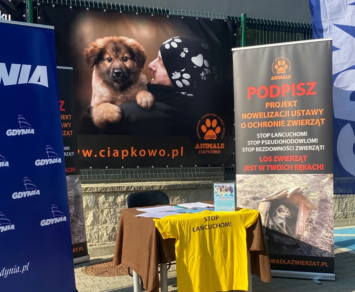 Na Pomorzu trwa zbiórka podpisów pod projektem zmiany ustawy o ochronie zwierząt. Nowelizacja zakłada m.in. zakaz trzymania psów na łańcuchach i ograniczenia pseudohodowli.