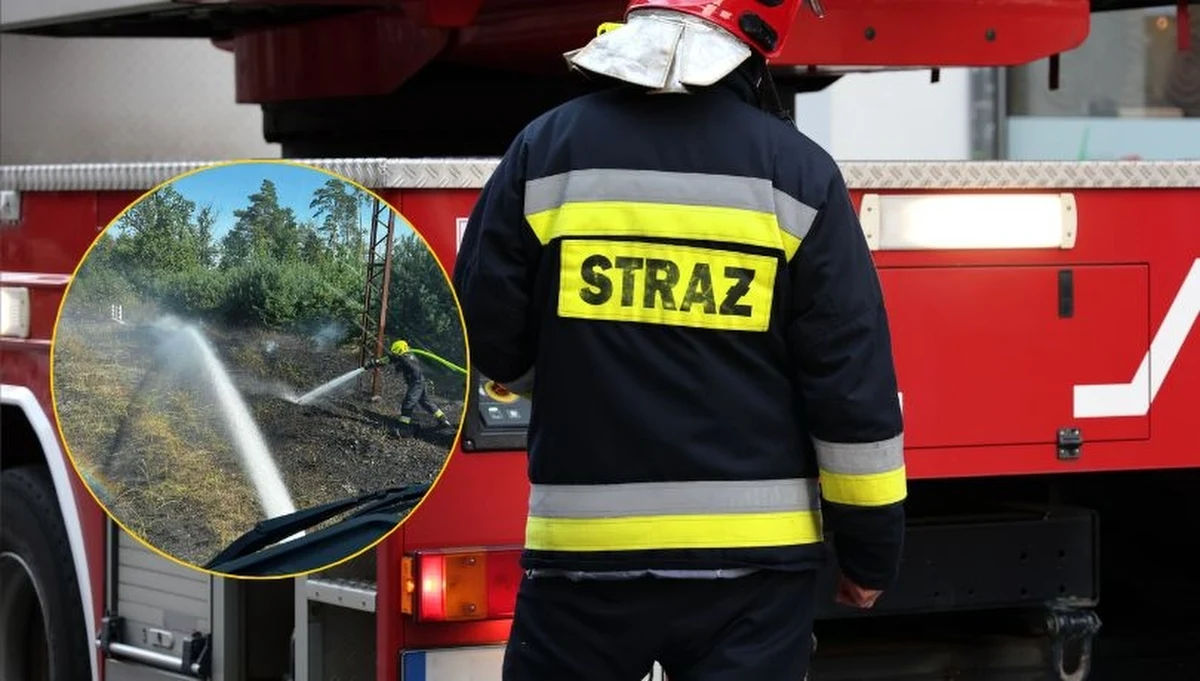 Wstrzymany był ruch pociągów w okolicach Obornik w Wielkopolsce. Jak informował Leszek Walczak ze straży pożarnej, palił się 15-kilometrowy odcinek nasypu kolejowego. Na torach utknęły składy różnych przewoźników. O godzinie 15:00 opóźnienia sięgały dwóch godzin. Ok. 16 pożar został ugaszony.