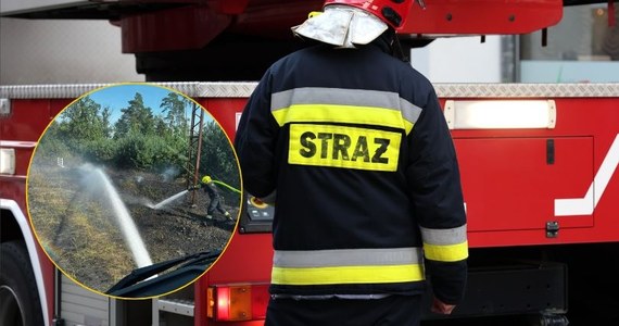 Wstrzymany był ruch pociągów w okolicach Obornik w Wielkopolsce. Jak informował Leszek Walczak ze straży pożarnej, palił się 15-kilometrowy odcinek nasypu kolejowego. Na torach utknęły składy różnych przewoźników. O godzinie 15:00 opóźnienia sięgały dwóch godzin. Ok. 16 pożar został ugaszony.